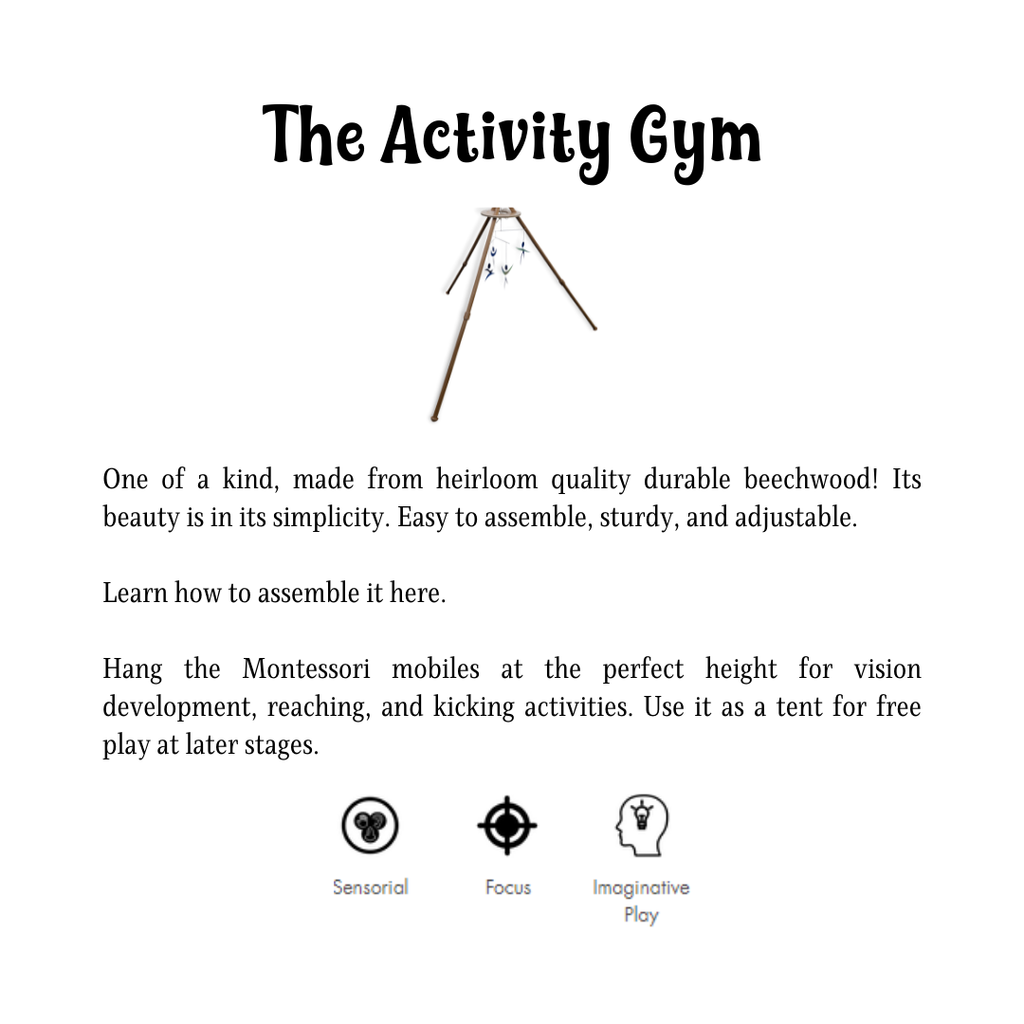 The Activity Gym