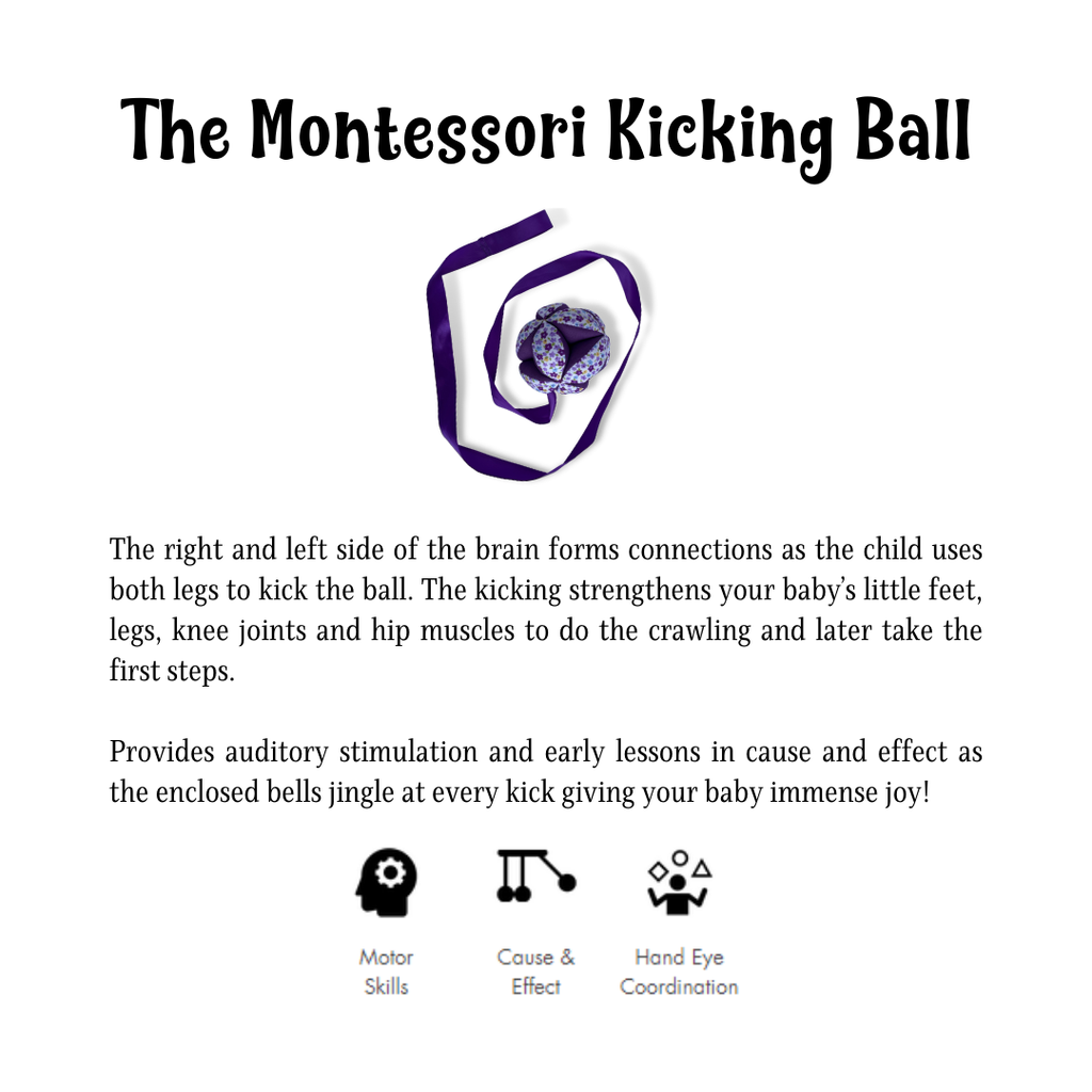 The Montessori Kichking Ball 