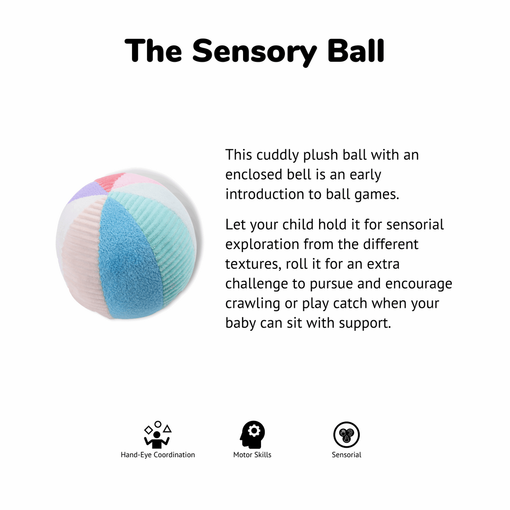 The Sensory Ball