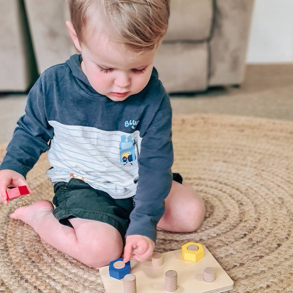 Montessori Educational Toys